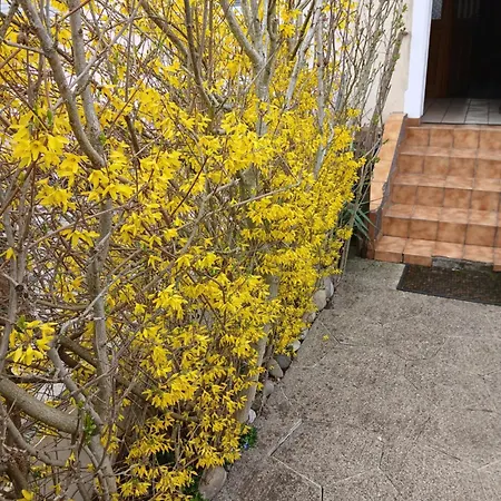 شقة Liberation مُلووز