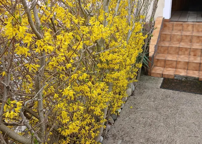 公寓 Liberation 牟罗兹